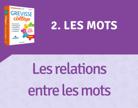 Les relations entre les mots